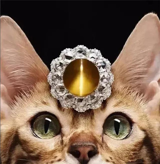 珠宝行家必知：珠宝的光学效应  第1张