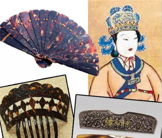 都说玳瑁全身都是宝，那么它身上究竟都有什么宝贝？  第3张