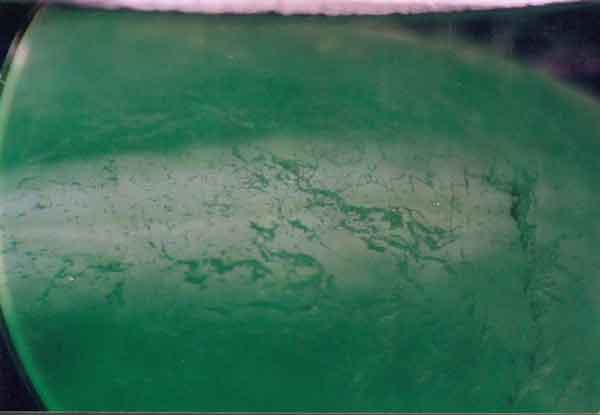 翡翠a货_翡翠a货代表什么意思_什么叫a货翡翠玉   第2张