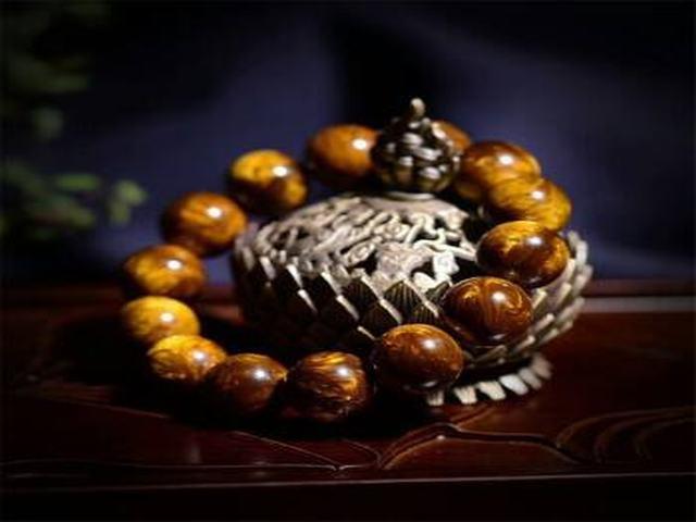 看一眼就着迷，盘一下就上瘾的海柳！  第3张