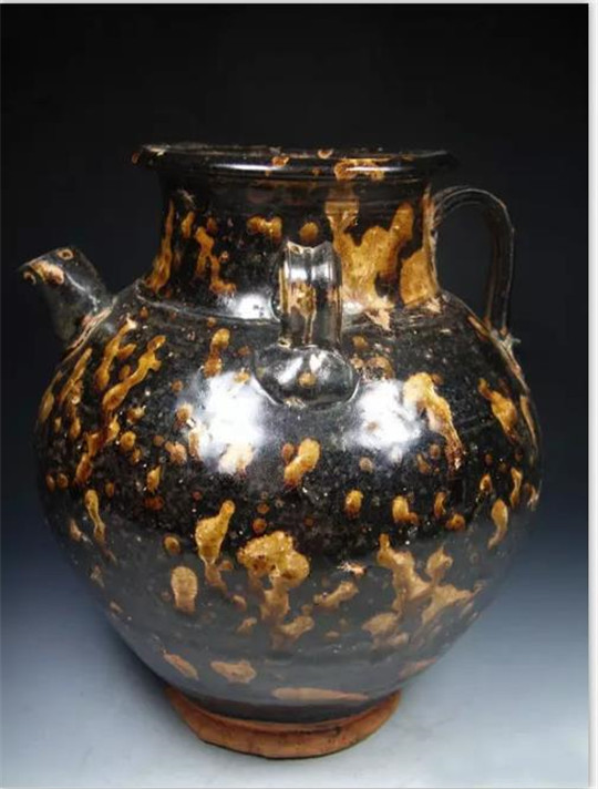 都说玳瑁全身都是宝，那么它身上究竟都有什么宝贝？  第4张