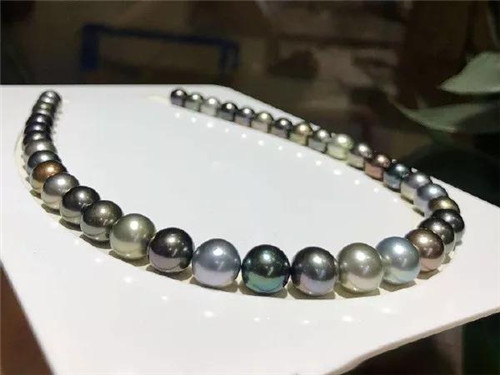 黑珍珠优雅而令人心伤的传说！  第3张