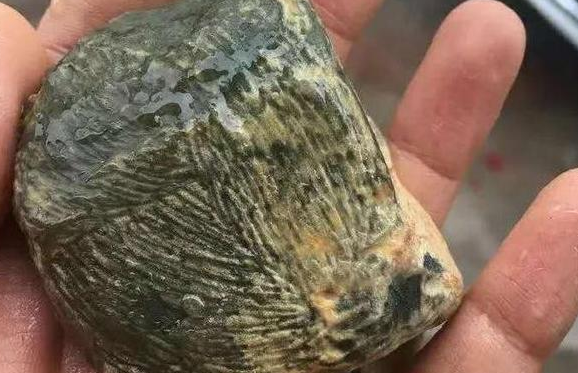 云南翡翠公盘旁观者大言不惭，说朋友入手的翡翠原石是废料，结果却遭疯狂打脸  第1张