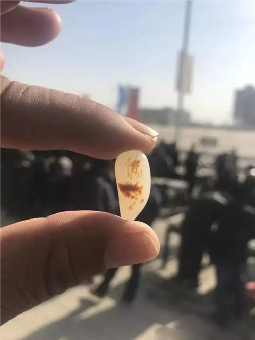 这些和田玉籽料当中的特色料，你了解吗？  第2张