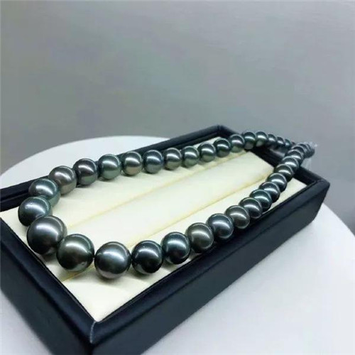 黑珍珠优雅而令人心伤的传说！  第5张