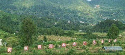 这个村庄的人不种田不种地，却靠捡石头家家买车买房  第4张