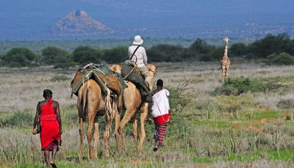 那里收购翡翠手镯为什么在去非洲旅游的时候不可以捡地上的玉石？  第4张