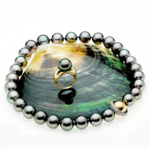 黑珍珠优雅而令人心伤的传说！  第7张