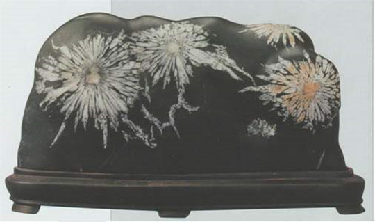 生在石头上的菊花——天然菊花石  第4张