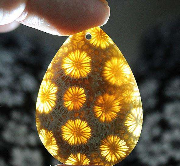 花色多样的珊瑚玉，哪个最好？  第2张