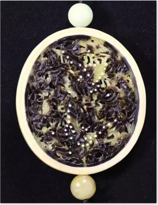 都说玳瑁全身都是宝，那么它身上究竟都有什么宝贝？  第2张