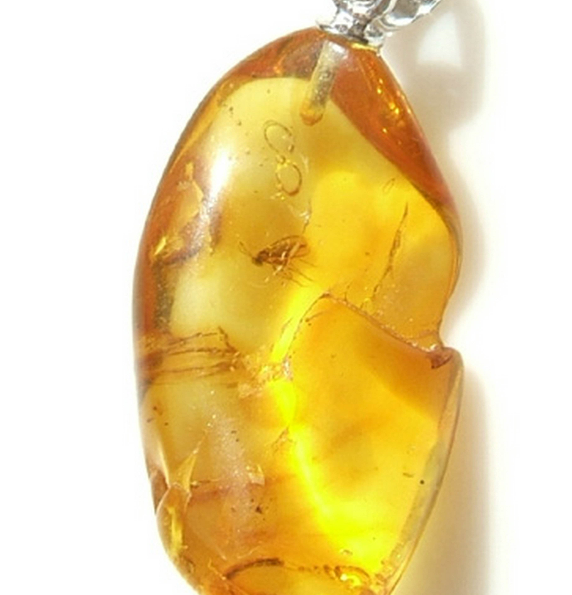 灰绿翡翠手镯图片天然琥珀一块多少钱  看完你就知道了 