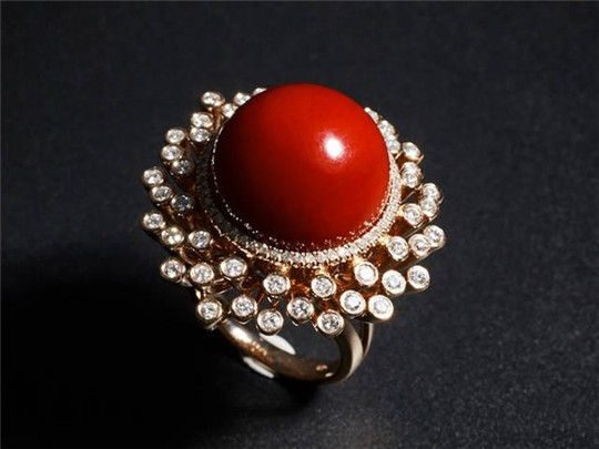 什么样的红珊瑚很值钱？  第1张