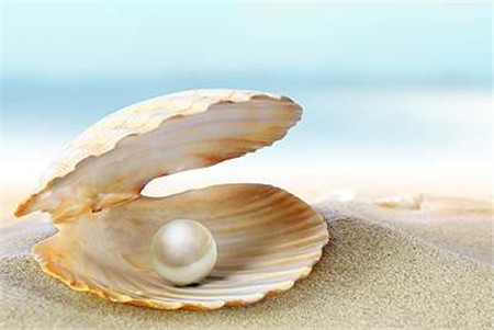 决定珍珠品质以及价格的因素有哪些？  第2张