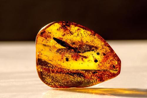 “药用琥珀”和“宝石琥珀”有什么区别？  第4张