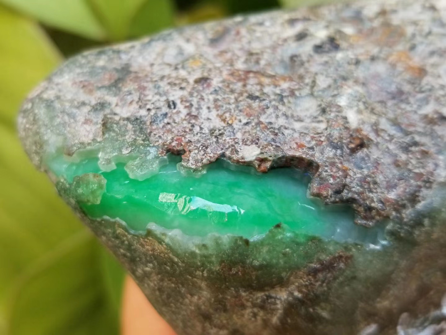 
选购翡翠翡翠原石必须留意什么地方？
   第2张