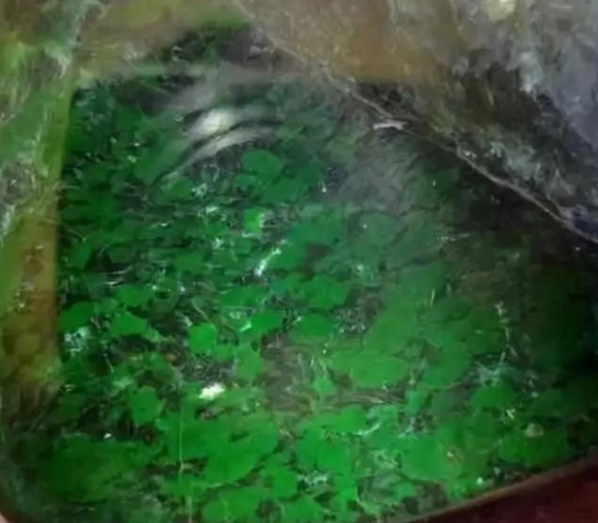 翡翠和玉的差别都说翡翠以绿为贵，绿色翡翠就一定贵吗？  第3张