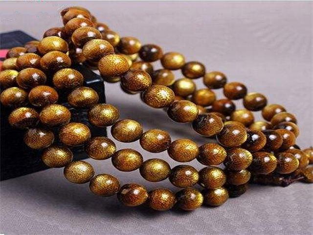 看一眼就着迷，盘一下就上瘾的海柳！  第2张