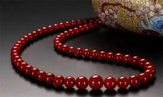 珊瑚品种究竟哪个价值更高呢？  第4张