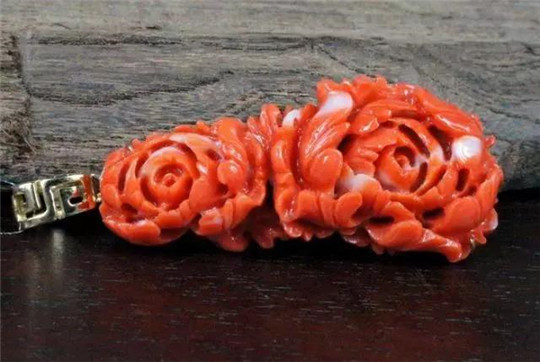 珊瑚品种究竟哪个价值更高呢？  第7张