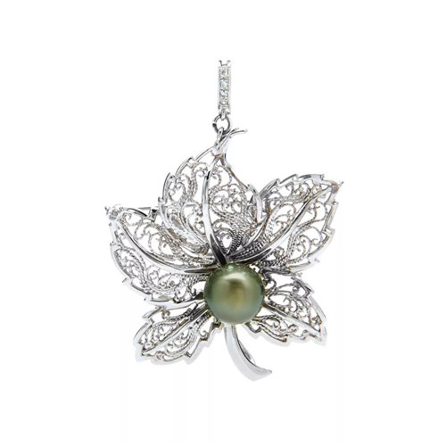 黑珍珠优雅而令人心伤的传说！  第6张