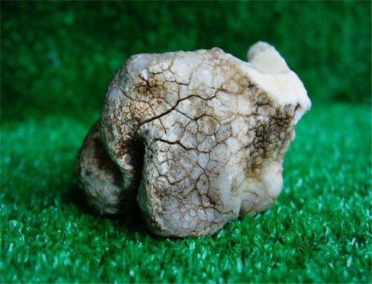 2017年缅甸翡翠欧泊石和蛋白石傻傻分不清？  第1张