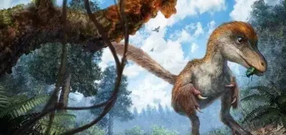 翡翠手镯 女人缅甸琥珀和波罗的海琥珀有哪些区别？  第13张