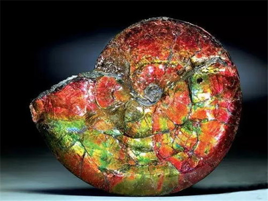 青岛买翡翠这可能是世界上最好看的化石：斑彩石  第1张