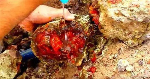 火欧泊到底是如何形成的？  第1张