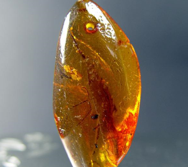 真假琥珀的肉眼鉴别   八个方法教会你 