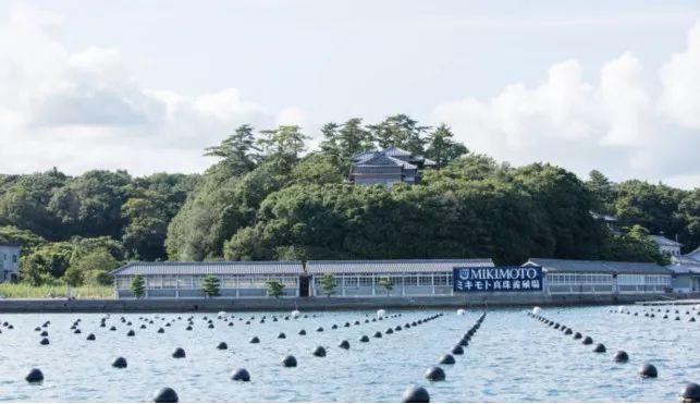 南洋珍珠和AKOYA珍珠作为升值黑马，很受市场关注，哪个更值得入手呢？  第20张