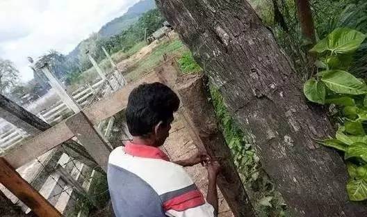 探究：价值数亿的宝石开采过程  第6张