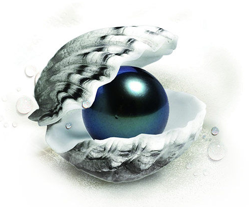 南洋珠黑珍珠价格步步高，顶级珍珠宜戴不宜藏  第1张