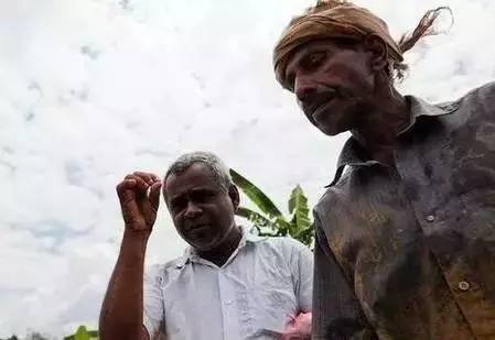 探究：价值数亿的宝石开采过程  第12张