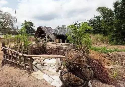 探究：价值数亿的宝石开采过程  第7张