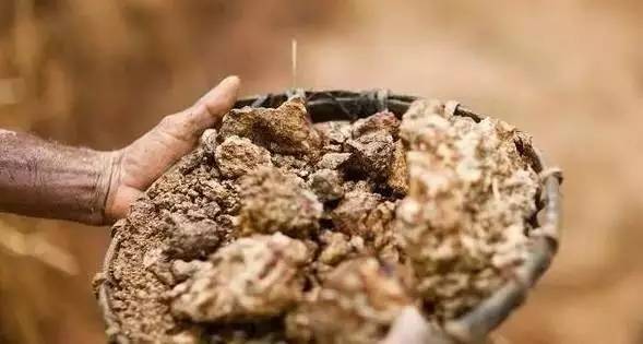 探究：价值数亿的宝石开采过程  第5张