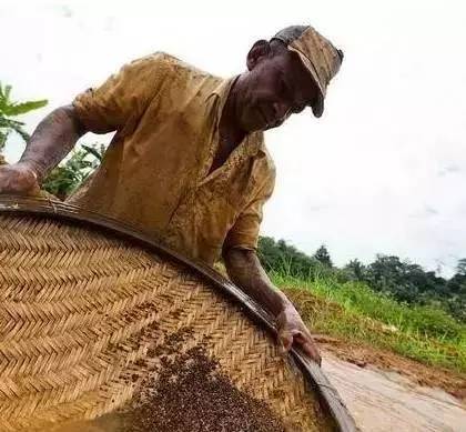 探究：价值数亿的宝石开采过程  第11张