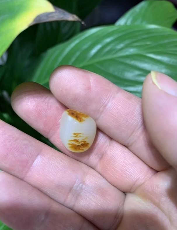 注胶翡翠手镯图片和田玉为什么那么贵？  第4张