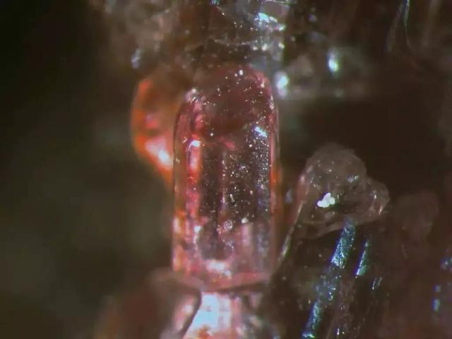 看似普通却最值钱，这些石头克价上万  第16张