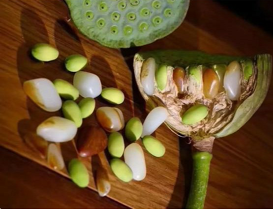 缅甸为什么翡翠多什么样的和田玉会暴涨？  第1张