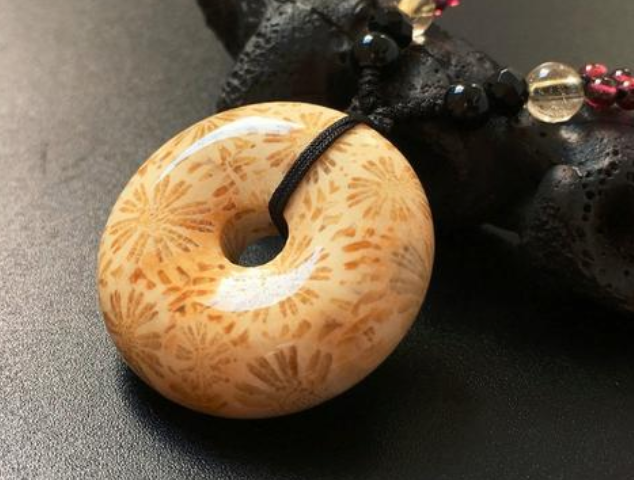 鉴定翡翠的视频假珊瑚图片 假珊瑚怎么鉴别   第2张