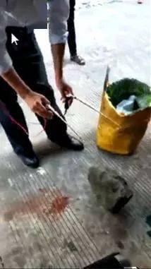 大叔带“翡翠探测仪”横扫翡翠市场，他扫到了啥？  第3张