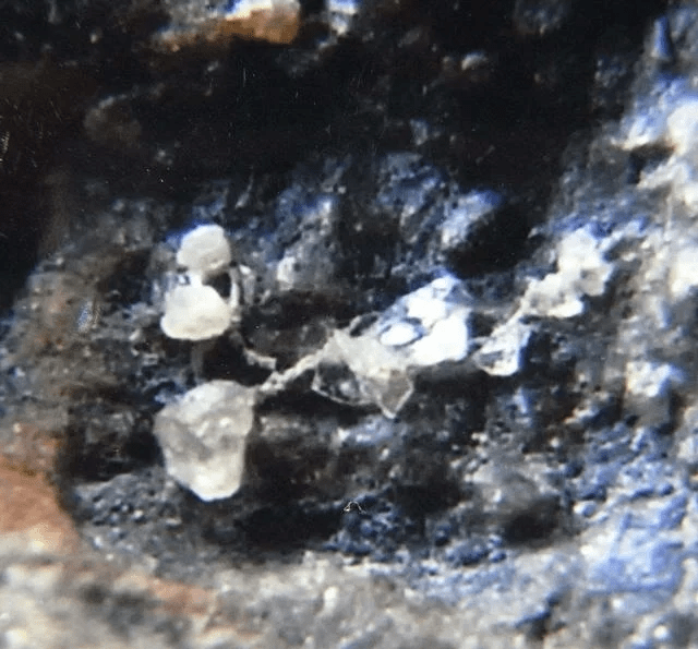 这三种陨石价格昂贵，捡到就发了，有钱也买不到  第4张