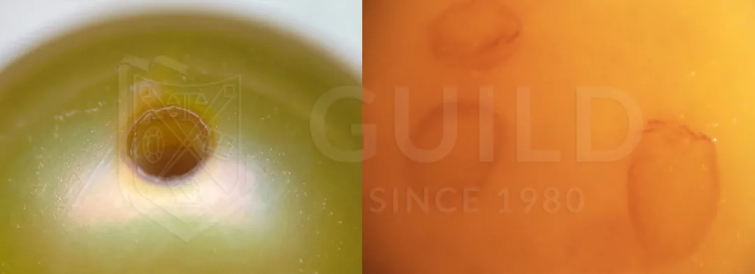 彩色珍珠的鉴定和分级  第4张