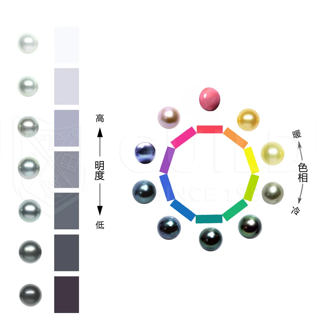 彩色珍珠的鉴定和分级  第10张