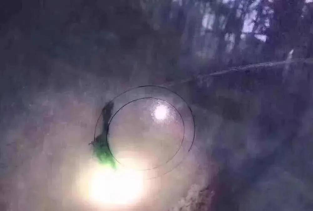 
                恃色行凶，有点颜色就了不起？
              第3张