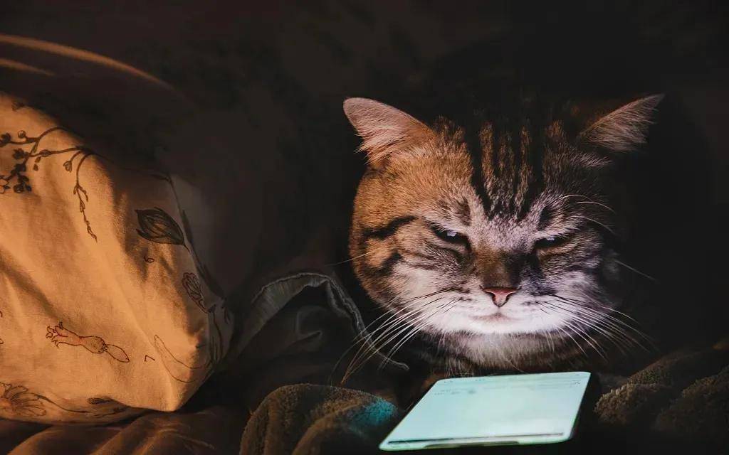 珠宝直播，谁才是真正的受益者？  第3张