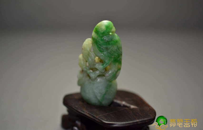 翡翠小鹦鹉的由来原来是这一模样的啊？我简直想不到啊   第2张