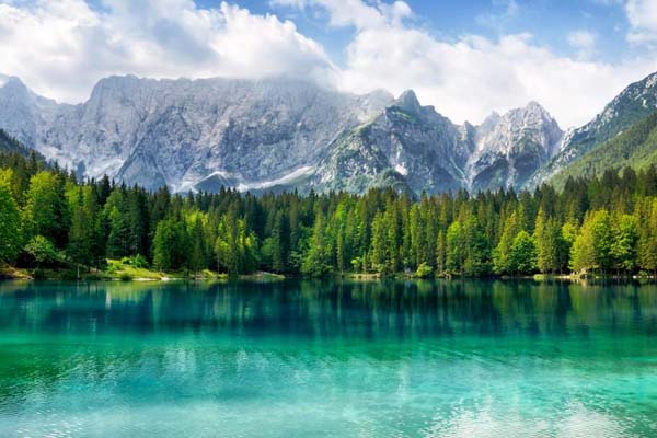 帝王绿、皇家紫、金翡翠，它们的收藏价值究竟有多高？   第2张