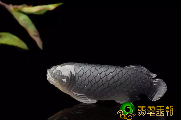 给爱人送一条翡翠鱼吧!喻意非常好哦~ 第6张